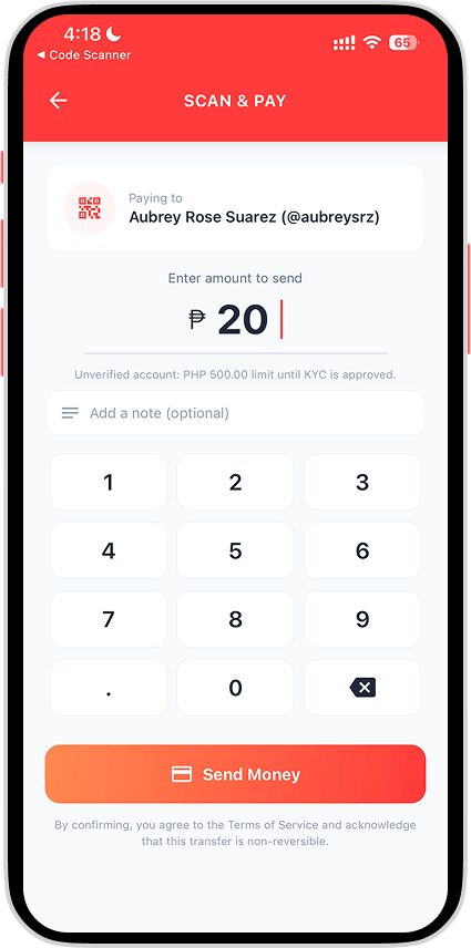 Enter payment amount